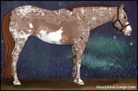 Horse Color:Chestnut Ice Frame