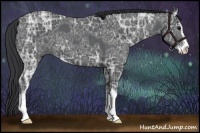 Horse Color:Black Ice Sabino