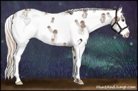 Horse Color:Chestnut Ice Sabino Splash