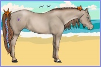 Horse Color:Smoky Black Pearl 