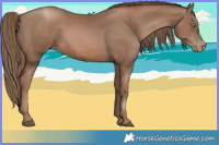 Horse Color:Black Pearl 