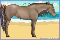 Horse Color:Black Pearl 
