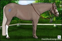 Horse Color:Chocolate Silver Smoky Black