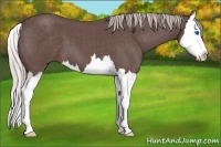 Horse Color:Chocolate Silver Blue Roan Splash