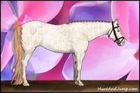 Horse Color:Buckskin Roan Pearl  and Amber Cream Champagne Roan Pearl 