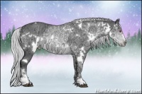 Horse Color:White Spotted Silver Brown Chinchilla Ice Sabino 