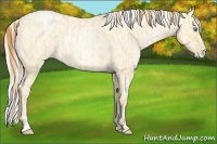 Horse Color:Buckskin Roan Pearl  and Silver Buckskin Roan Pearl 