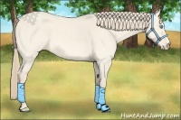 Horse Color:Perlino Roan Dun