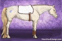 Horse Color:Buckskin Roan Pearl  and Buckskin Roan Pearl 