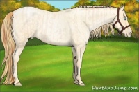 Horse Color:Buckskin Roan Pearl and Buckskin Roan Pearl