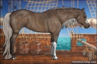 Horse Color:Silver Bay 