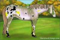 Horse Color:Watercolor White Spotted Chocolate Palomino Onyx Sabino Appaloosa 