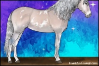 Horse Color:Watercolor White Spotted Silver Buckskin Onyx 