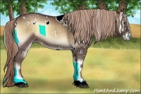 Horse Color:White Spotted Chocolate Palomino Onyx