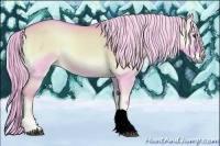 Horse Color:Watercolor Palomino Onyx 