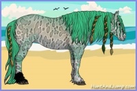 Horse Color:Watercolor Buckskin Ice Onyx