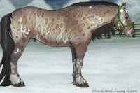 Horse Color:White Spotted Bay Ice Onyx Sabino