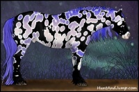 Horse Color:Watercolor Buckskin Onyx Sabino Appaloosa