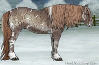 Horse Color:White Spotted Red Onyx Ice Sabino 