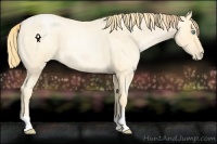 Horse Color:Buckskin Roan Pearl and Buckskin Roan Pearl