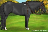 Horse Color:Smoky Black 