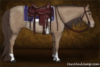 Horse Color:Classic Champagne Rabicano