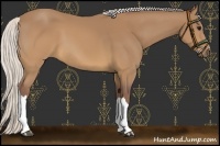Horse Color:Chocolate Silver Buckskin 