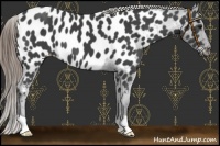 Horse Color:Smoky Black Near Leopard 