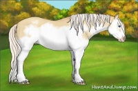 Horse Color:Silver Classic Champagne Dun Splash Frame 