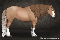 Horse Color:Bay Pearl Sabino Splash