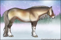 Horse Color:Liver Red Onyx