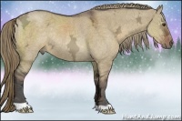 Horse Color:Liver Red Dun Ice Rabicano