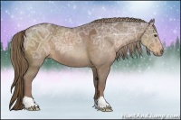 Horse Color:Liver Chestnut Ice Rabicano