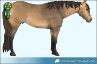 Horse Color:Buckskin 
