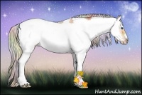 Horse Color:Nacre Silver Sable Champagne Ice Sabino Frame 