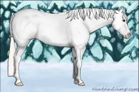 Horse Color:White Spotted Silver Bay Tobiano Appaloosa Rabicano