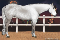 Horse Color:Gray Black 