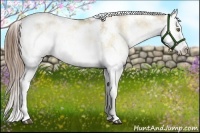 Horse Color:Liver Red Dun Pearl Onyx Sabino Rabicano