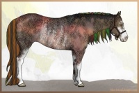 Horse Color:Painted Liver Red Dun Ice Sabino Rabicano