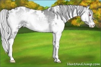 Horse Color:White Spotted Silver Grullo Chinchilla Onyx Splash 