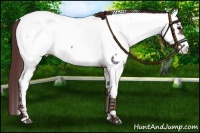Horse Color:Chocolate Brown Near Fewspot 