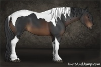 Horse Color:Brown Tobiano 