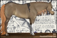 Horse Color:Liver Red Dun 