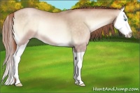 Horse Color:Buckskin Pearl Onyx Splash