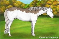 Horse Color:Silver Smoky Blue Roan Splash 