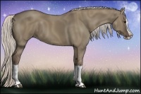 Horse Color:Silver Grullo Splash 
