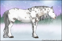 Horse Color:Blue Onyx Sabino Rabicano