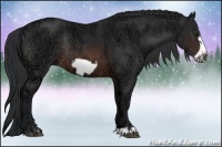 Horse Color:Brown Ice Frame Rabicano 