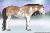 Horse Color:White Spotted Brown Splash Rabicano 