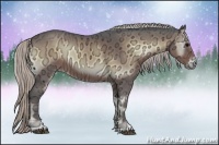 Horse Color:Silver Brown Ice Onyx Rabicano 